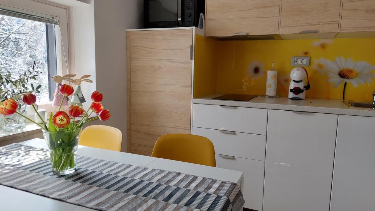 Apartma Marjetica Gozd Martuljek Kültér fotó